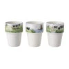 Wiebe Van Der Zee Giftset 3 Melkbekers 26 Cl.