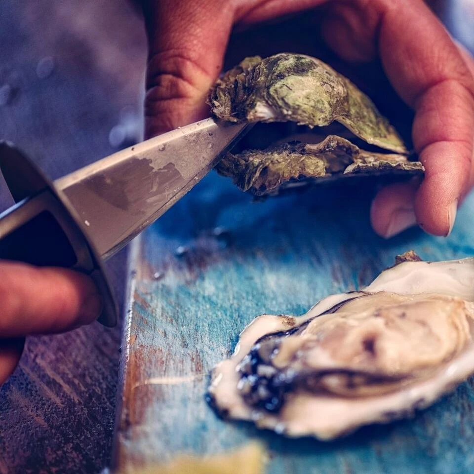 Orange85 Oestermes Met Siliconen Hulpmiddel Zwart En Blauw Oesters Openen - Afbeelding 4